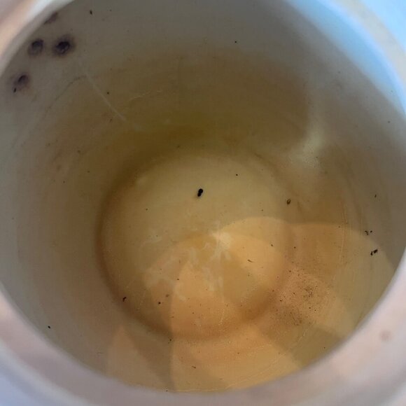 Vintage Japanese Ceramic Teapot With Bamboo Handle & Painted Bamboo Design - Picture 2 of 7